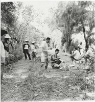 藏品(樹林裡的午餐)的圖片