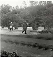 藏品(上山採藥頭)的圖片