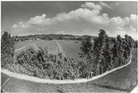 藏品(北埔農村)的圖片