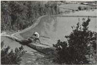 藏品(農夫搬秧苗)的圖片