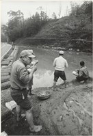 藏品(用點心)的圖片