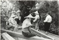 藏品(南埔水車)的圖片