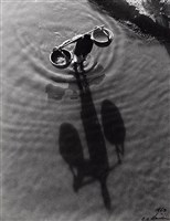 藏品(倒影)的圖片