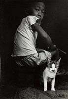 藏品(少年與貓)的圖片