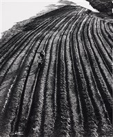 藏品(河床耕地)的圖片