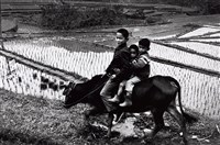 藏品(社會記憶- 桃園復興鄉)的圖片