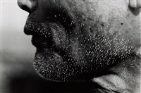 藏品(老人的鬍子)的圖片