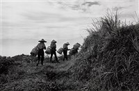 藏品(上山採茶)的圖片