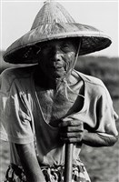 藏品(老農夫)的圖片