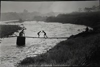 藏品(夏天)的圖片