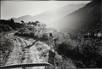 藏品(山路)的圖片