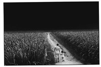 藏品(《失落的優雅》系列：〈南投埔里〉)的圖片