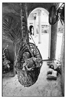 藏品(《失落的優雅》系列：〈農具間的搖籃〉)的圖片