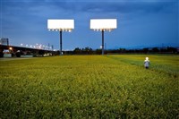 藏品(〈台灣「美景」：T霸與稻田〉)的圖片