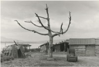 藏品(〈景色蕭條〉)的圖片