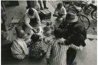 藏品(〈草藥郎中〉)的圖片