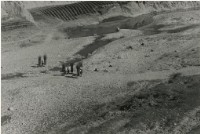 藏品(〈歸樵〉)的圖片