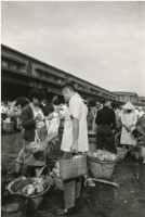 藏品(〈斤斤計較〉)的圖片