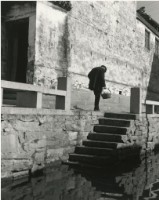 藏品(〈伶仃〉)的圖片