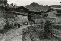 藏品(〈歸途〉)的圖片