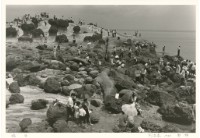 藏品(〈暇日〉)的圖片