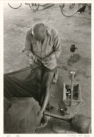 藏品(〈補網〉)的圖片