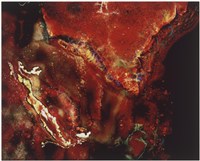 藏品(開天系列 No.37)的圖片