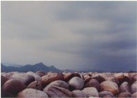 藏品(〈源〉)的圖片