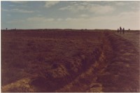 藏品(〈地平線上〉)的圖片