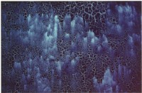 藏品(〈牆林〉)的圖片