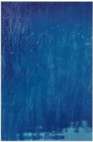 藏品(〈水草與山影的對話〉)的圖片