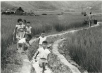 藏品(〈大家一起來〉)的圖片