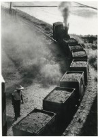 藏品(〈有氣無力〉)的圖片