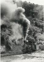 藏品(〈勁道十足〉)的圖片