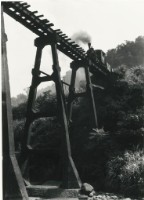 藏品(〈步步高昇〉)的圖片