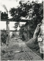 藏品(〈三線路〉)的圖片