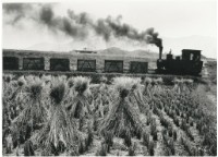 藏品(〈倒著走〉)的圖片