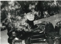 藏品(〈青舂年華〉)的圖片