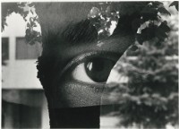 藏品(〈明眸〉)的圖片