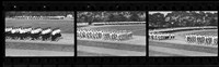 藏品(鄧南光135底片(66))的圖片