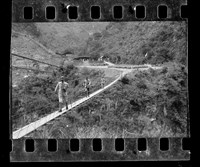 藏品(鄧南光135底片(268))的圖片