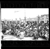 藏品(鄧南光135底片(300))的圖片