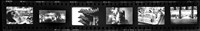 藏品(鄧南光135底片(495))的圖片