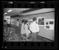 藏品(鄧南光135底片(656))的圖片