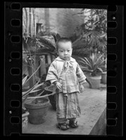 藏品(鄧南光135底片(799))的圖片