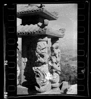 藏品(鄧南光135底片(1174))的圖片