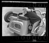 藏品(鄧南光135底片(1202))的圖片