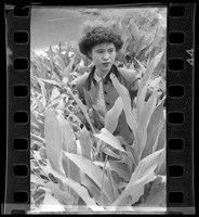 藏品(鄧南光135底片(1210))的圖片