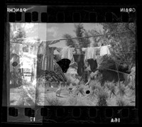 藏品(鄧南光135底片(1216))的圖片