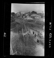 藏品(鄧南光135底片(1217))的圖片